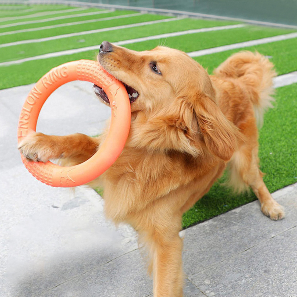 Suction Cup Dog Tug Toy - 1 ، ألعاب كلاب برتقالية اللون