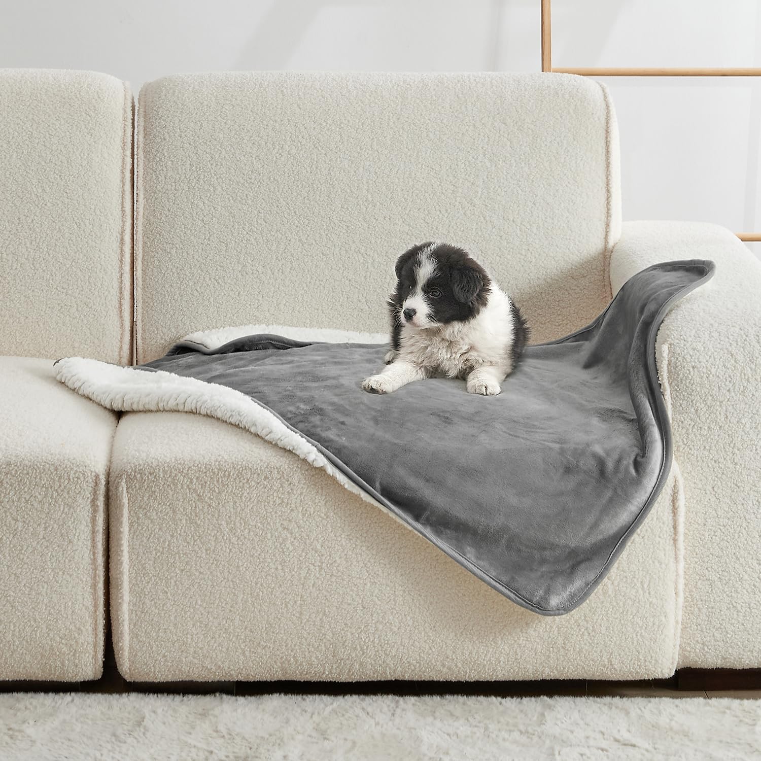 Pet Beds - بطانية للحيوانات الأليفة بلون موحد، بطانية