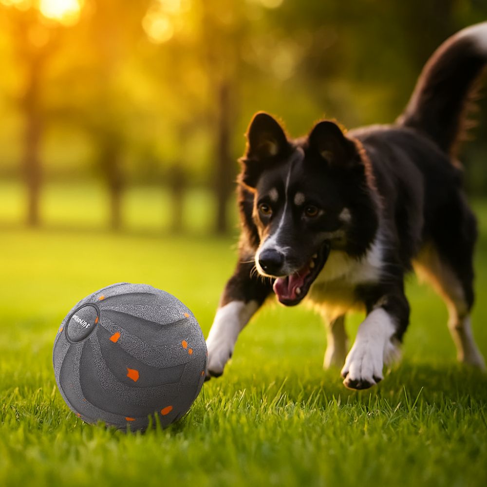 Automatic Moving Dog Ball - لعبة الكلب الذكية المقاومة للعض، لعبة