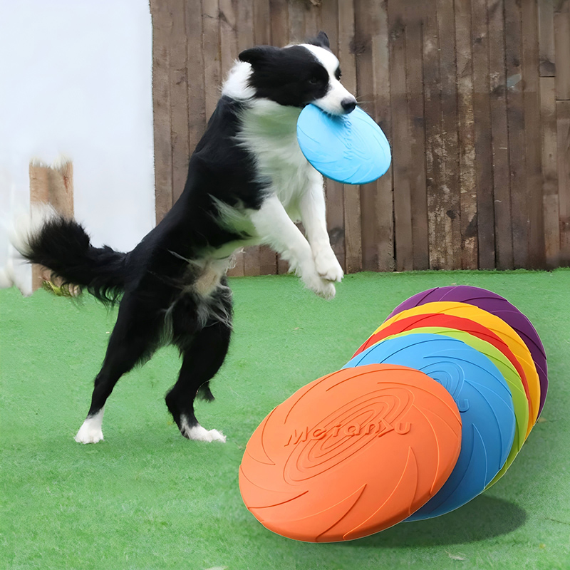 ألعاب الأقراص الطائرة المصنوعة - مراجعة Flying Disc Dog Training Toy وسعره