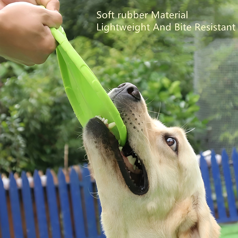ألعاب الأقراص الطائرة المصنوعة - مراجعة Flying Disc Dog Training Toy وسعره