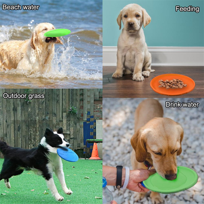 ألعاب الأقراص الطائرة المصنوعة - مراجعة Flying Disc Dog Training Toy وسعره