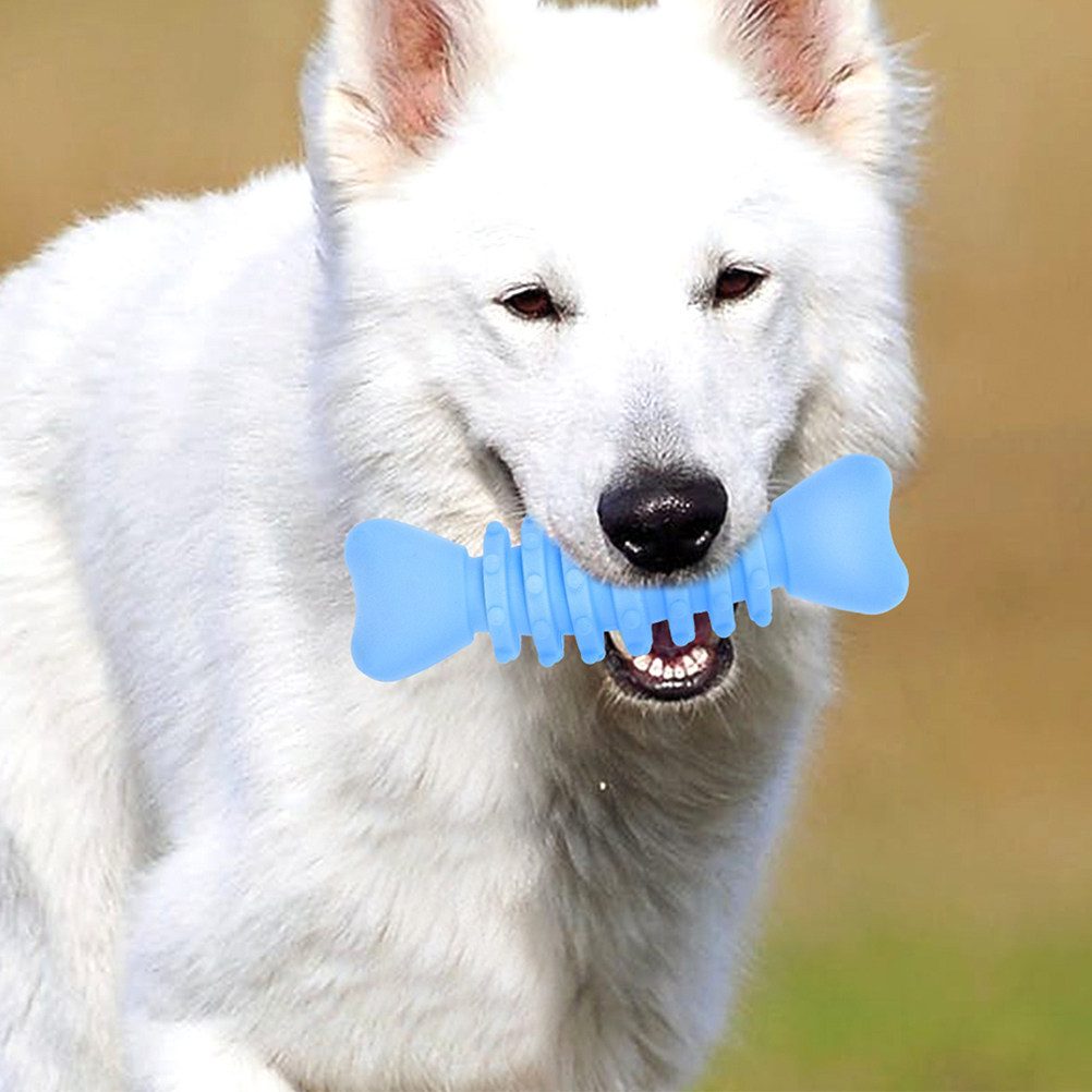 قطعتان من عظام المضغ للكلاب مص - مراجعة Teeth Cleaning Dog Chew Bone وسعره