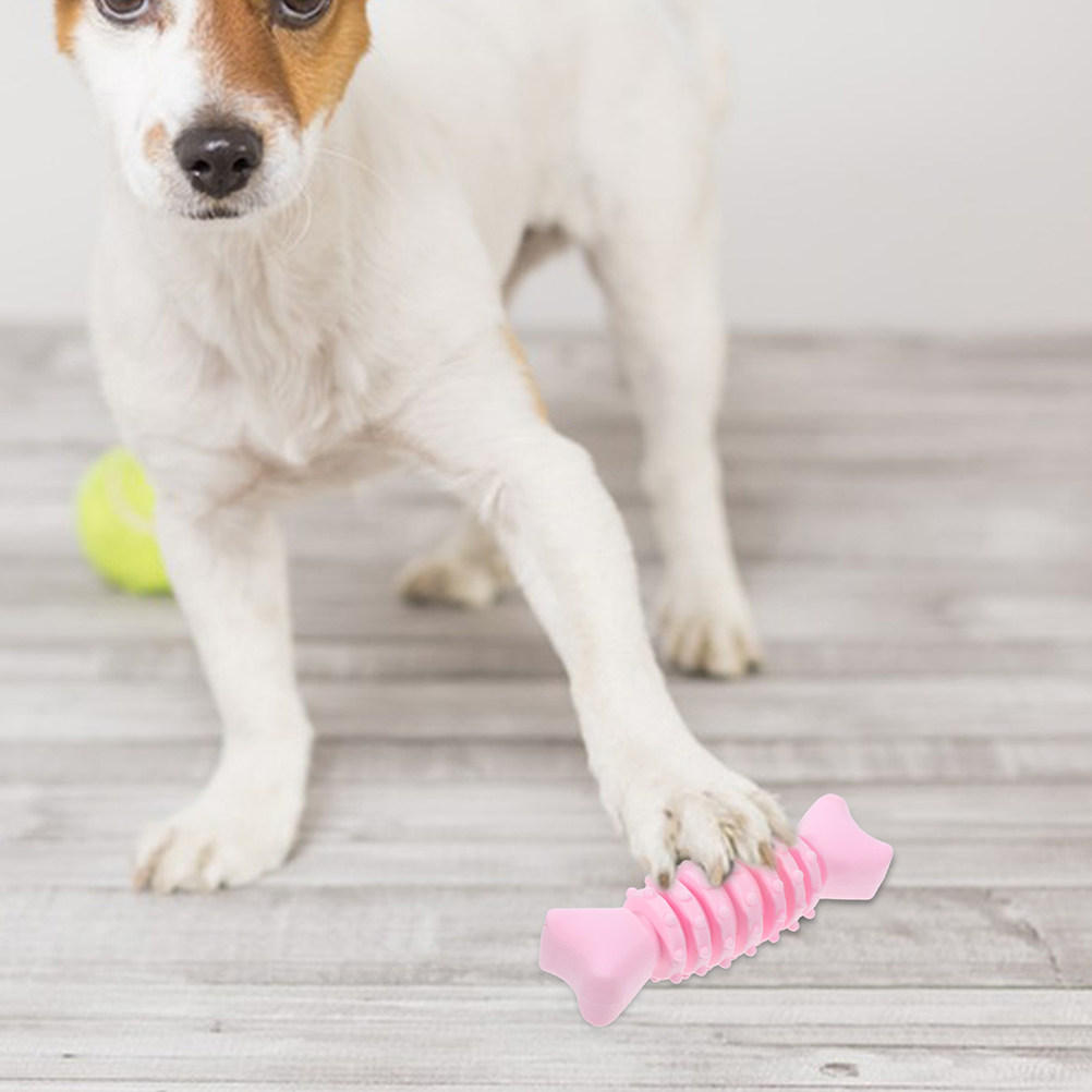 قطعتان من عظام المضغ للكلاب مص - مراجعة Teeth Cleaning Dog Chew Bone وسعره