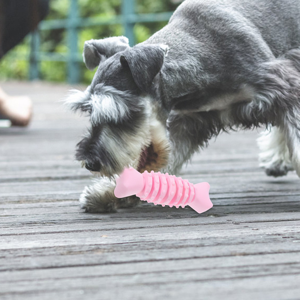 قطعتان من عظام المضغ للكلاب مص - مراجعة Teeth Cleaning Dog Chew Bone وسعره