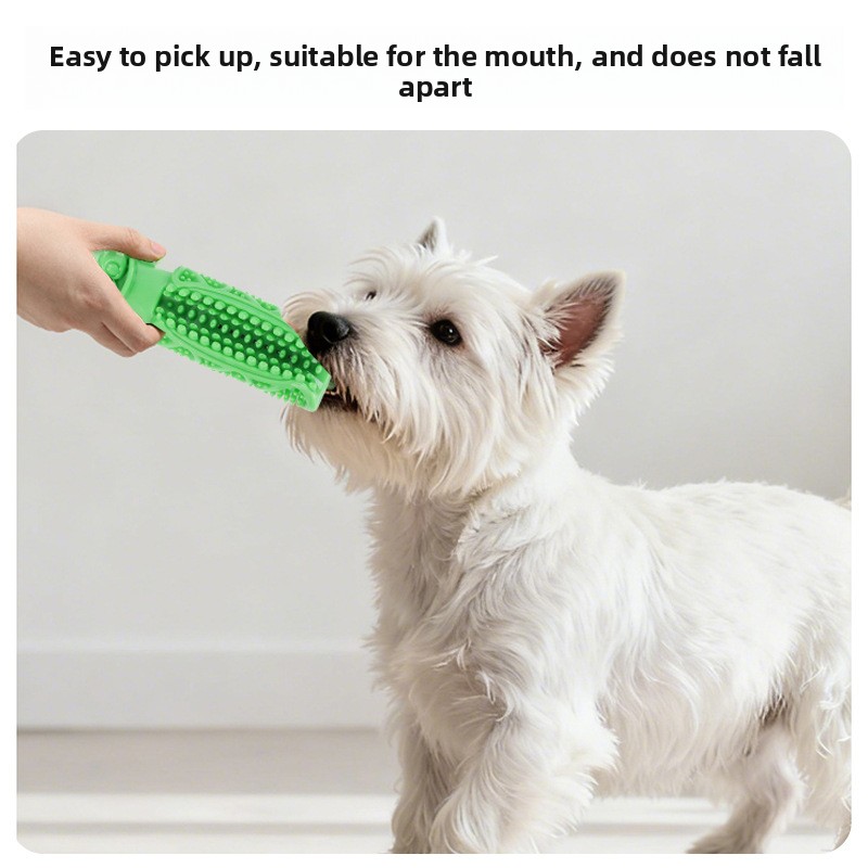 لعبة مضغ لتنظيف أسنان الكلاب م - مراجعة Teeth Cleaning Dog Chew Bone وسعره