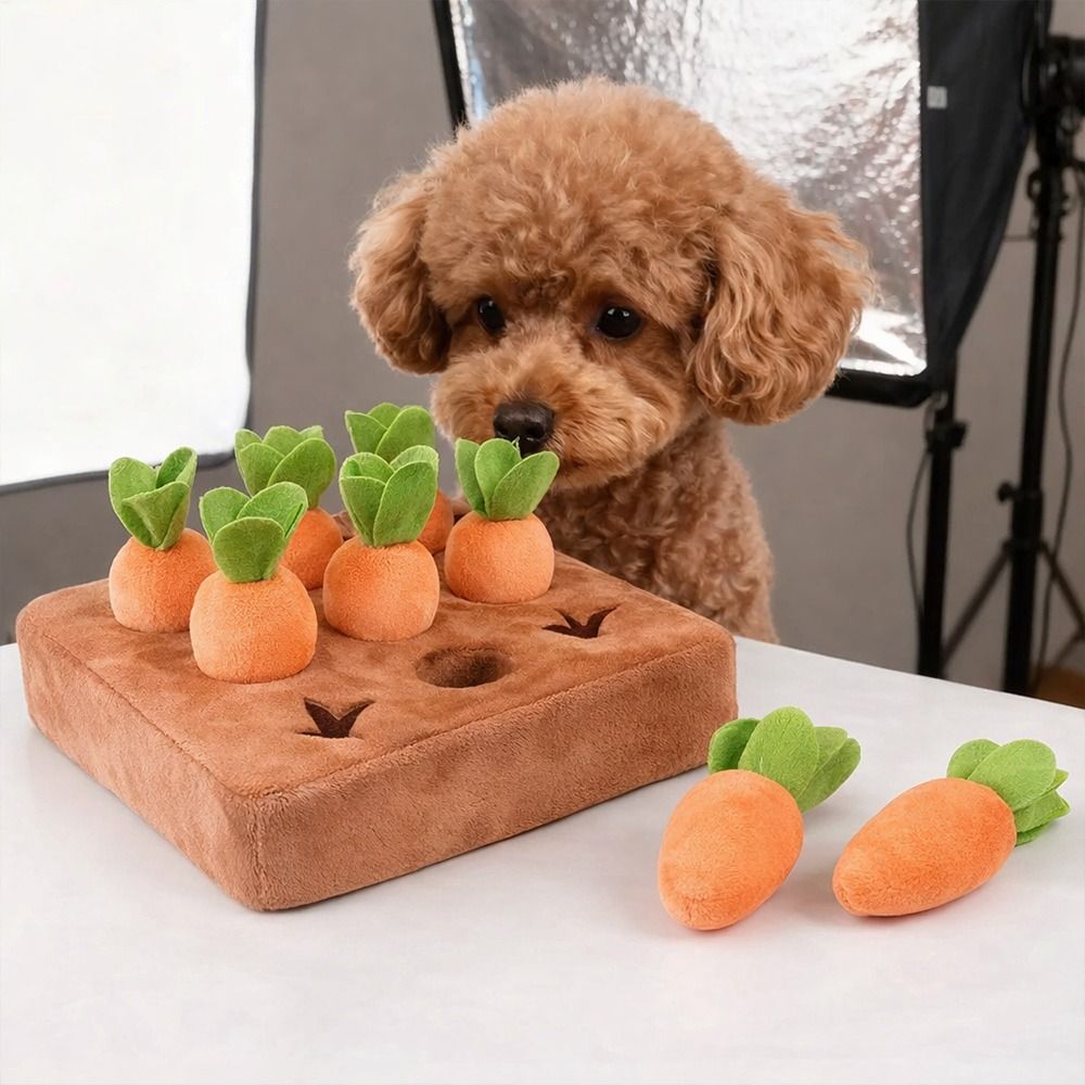 حصيرة مضغ على شكل جزرة لتخفيف  - مراجعة Snuffle Mat For Dogs وسعره