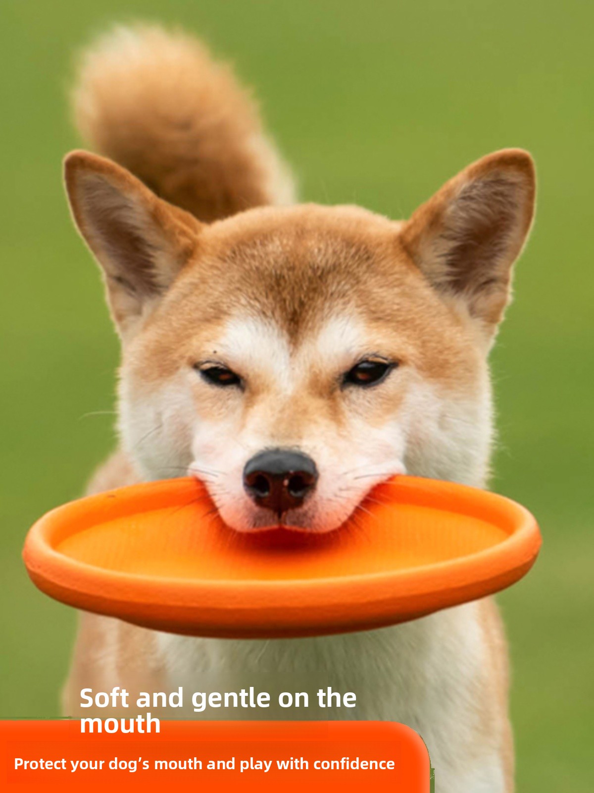قرص طائر للكلاب ناعم ومتين ومق - مراجعة Flying Disc Dog Training Toy وسعره