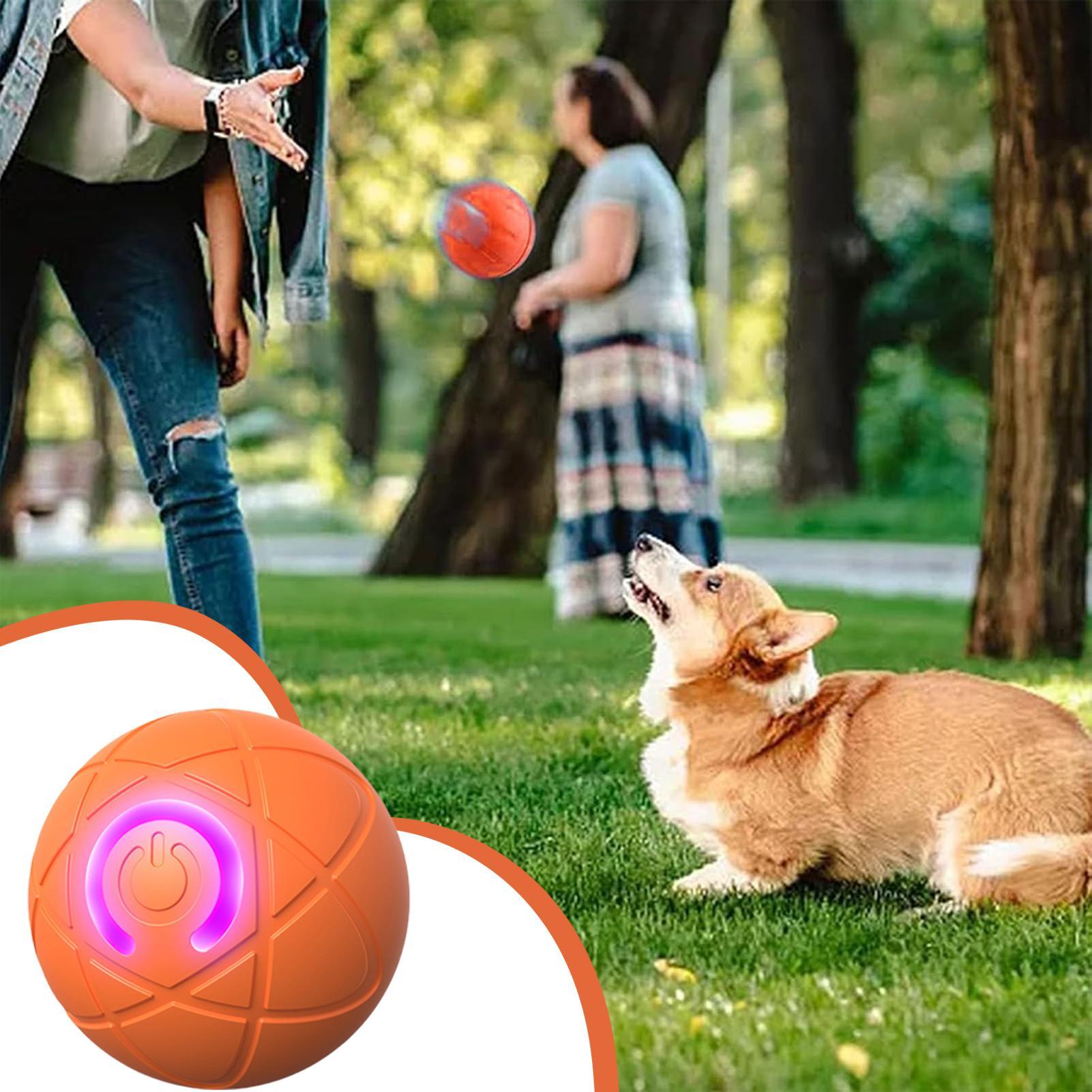ألعاب ذكية تفاعلية للكلاب المع - مراجعة Automatic Moving Dog Ball وسعره