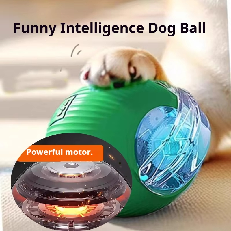 لعبة كرة تفاعلية جديدة للكلاب، - مراجعة Automatic Moving Dog Ball وسعره