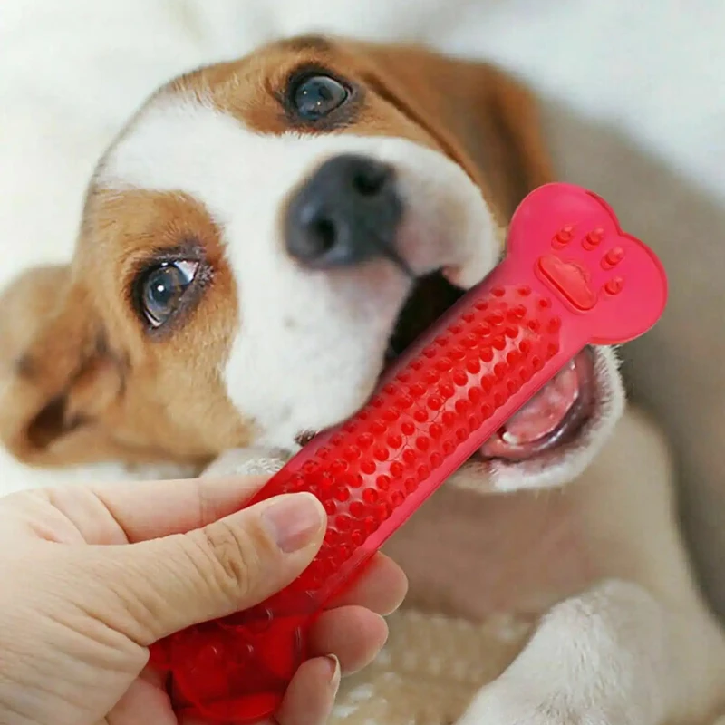 سوبر صعبة الكلب العظام مضغ لعب - مراجعة Teeth Cleaning Dog Chew Bone وسعره