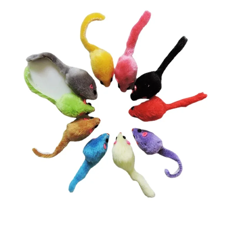 8 قطع من ألعاب القطط الفروية ا - مراجعة Catnip Interactive Plush Mouse وسعره