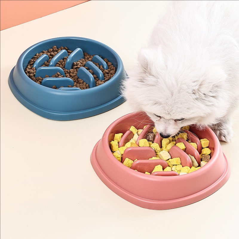 مستلزمات الحيوانات الأليفة الك - مراجعة Dog Puzzle Feeder Toy وسعره
