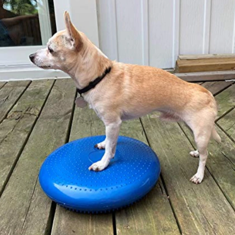 صحن طائر متوازن للحيوانات الأل - مراجعة Flying Disc Dog Training Toy وسعره