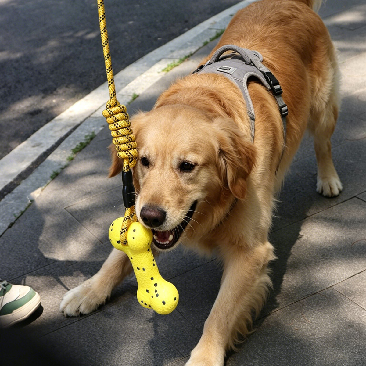 لعبة حبل سحب للكلاب شديدة التح - مراجعة Dog Rope Toy Aggressive Chewers وسعره