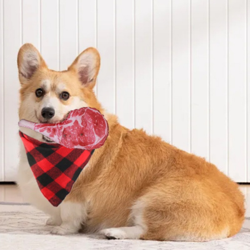 لعبة كلب على شكل شريحة لحم محا - مراجعة Teeth Cleaning Dog Chew Bone وسعره