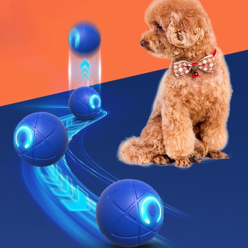 لعبة الكلب الذكية الكرة USB ال - مراجعة Suction Cup Dog Tug Toy وسعره
