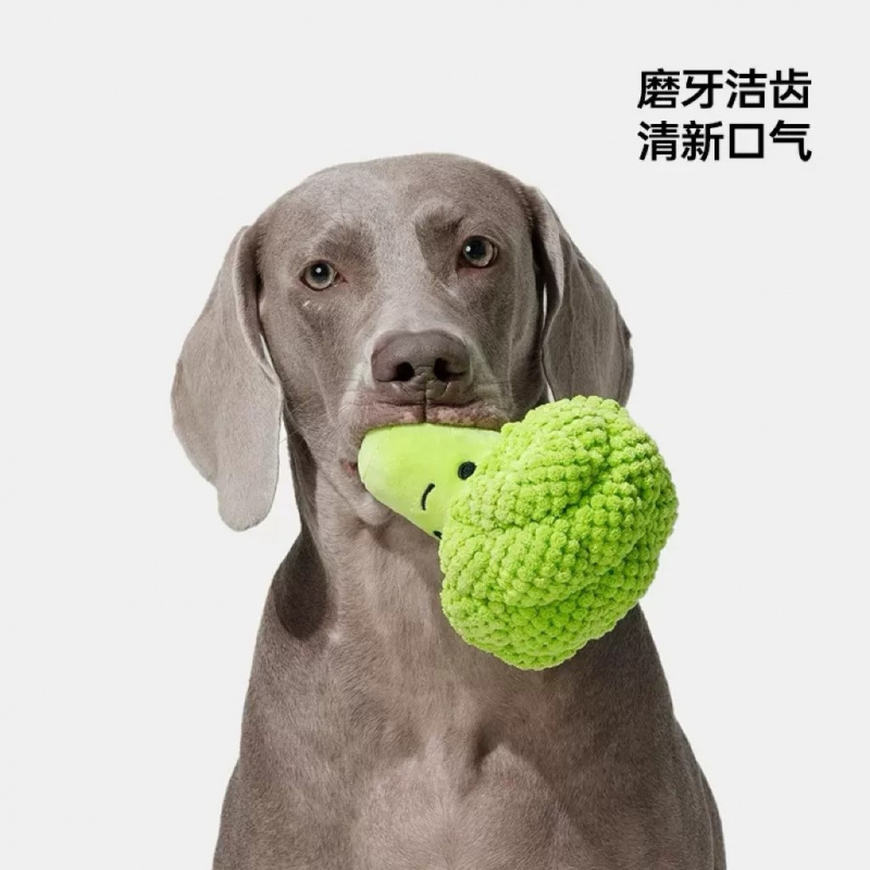 لعبة صوتية للكلاب لطحن وتنظيف  - مراجعة Interactive Squeaky Plush Dog Toy وسعره