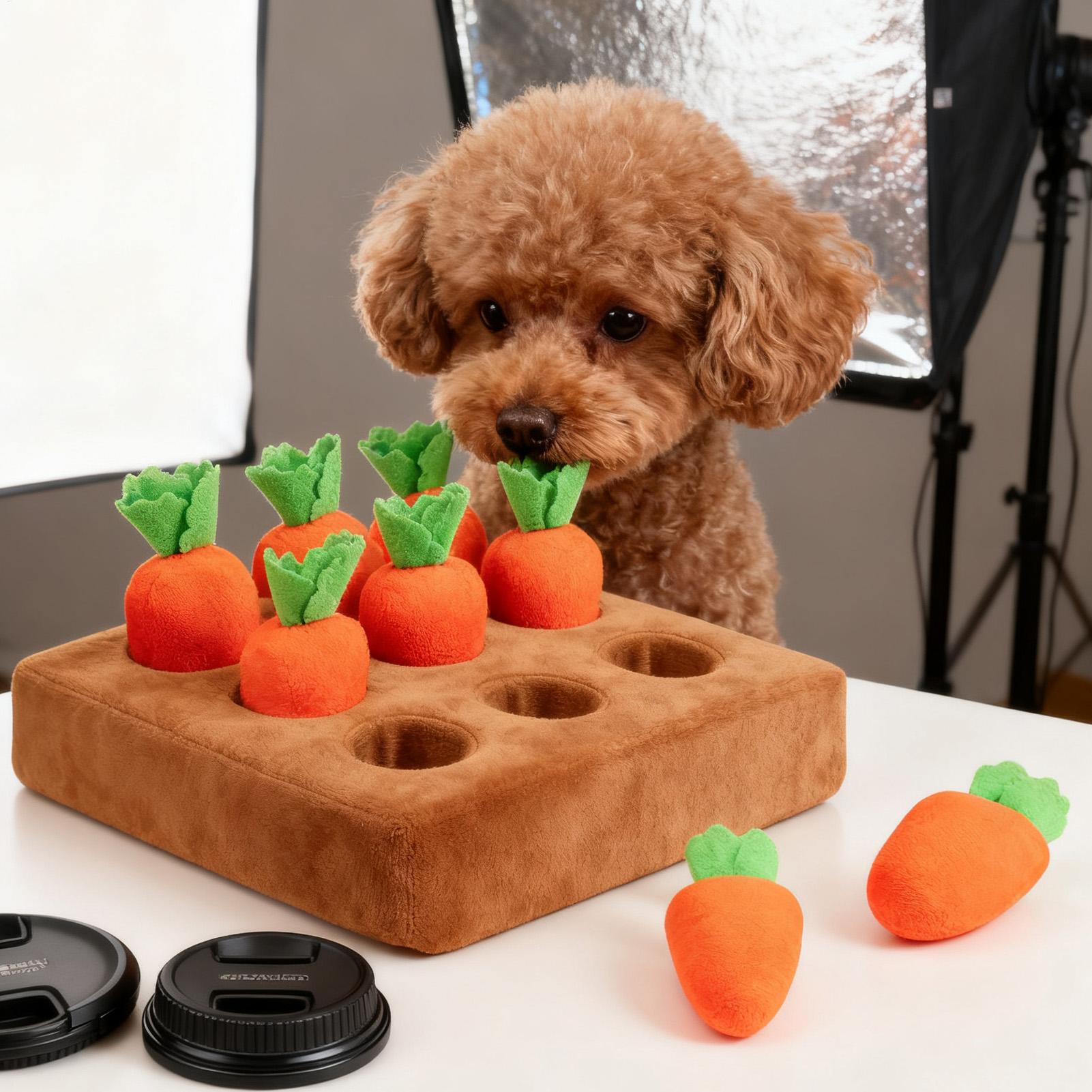 ألعاب تفاعلية للحيوانات الأليف - مراجعة Snuffle Mat For Dogs وسعره