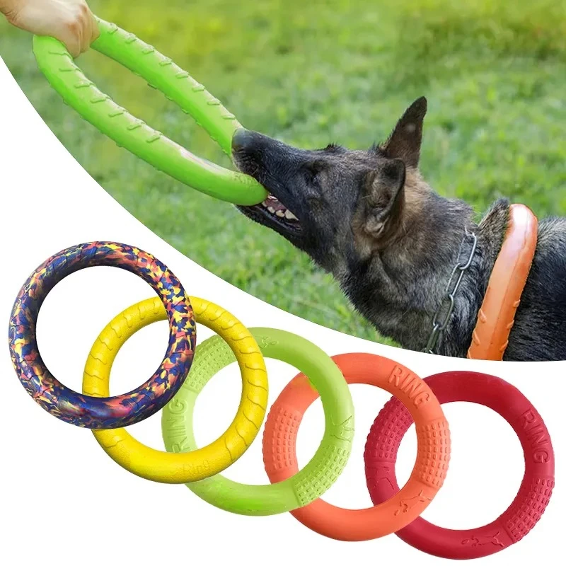 أقراص تحلق إيفا الكلب التدريب  - مراجعة Flying Disc Dog Training Toy وسعره