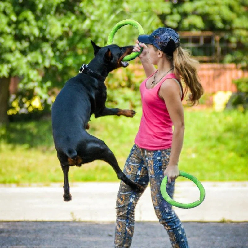 أقراص تحلق إيفا الكلب التدريب  - مراجعة Flying Disc Dog Training Toy وسعره