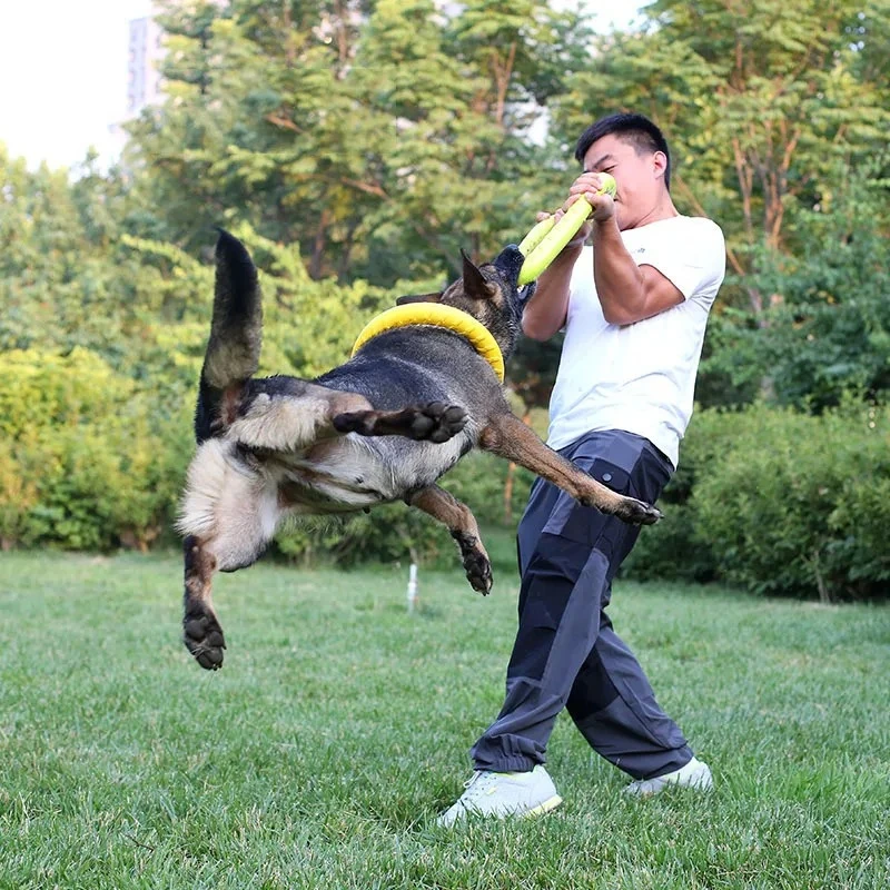 أقراص تحلق إيفا الكلب التدريب  - مراجعة Flying Disc Dog Training Toy وسعره