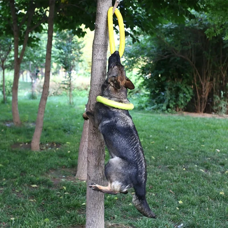 أقراص تحلق إيفا الكلب التدريب  - مراجعة Flying Disc Dog Training Toy وسعره