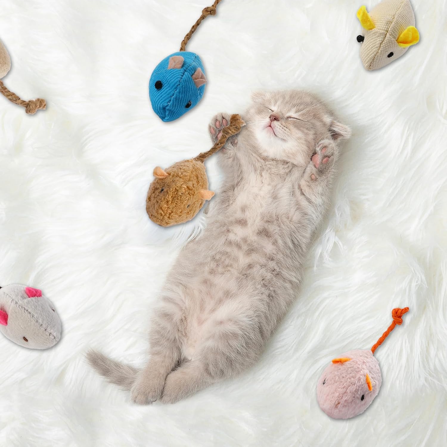 8 ألعاب تفاعلية للقطط والفأر م - مراجعة Catnip Interactive Plush Mouse وسعره