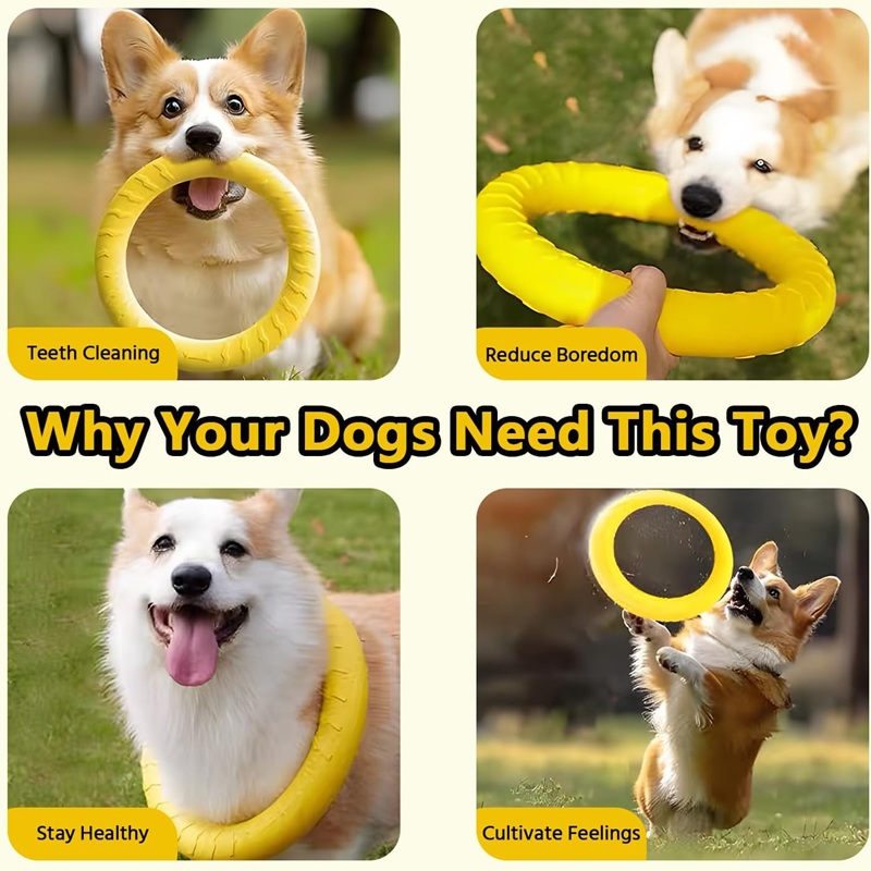 ألعاب الكلاب، أقراص طائرة للحي - مراجعة Flying Disc Dog Training Toy وسعره