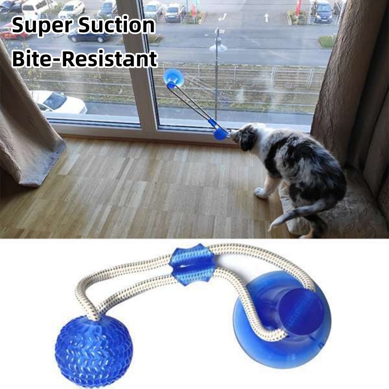 لعبة شفط متينة للكلاب، كرة مضغ - مراجعة Suction Cup Dog Tug Toy وسعره