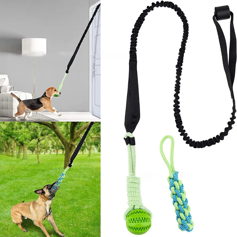لعبة الكلب التفاعلية شد الحرب  - مراجعة Suction Cup Dog Tug Toy وسعره