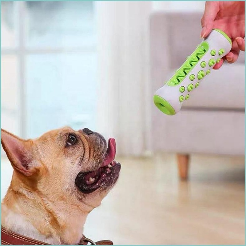 لعبة مضغ للكلاب من مادة TPR مت - مراجعة Teeth Cleaning Dog Chew Bone وسعره