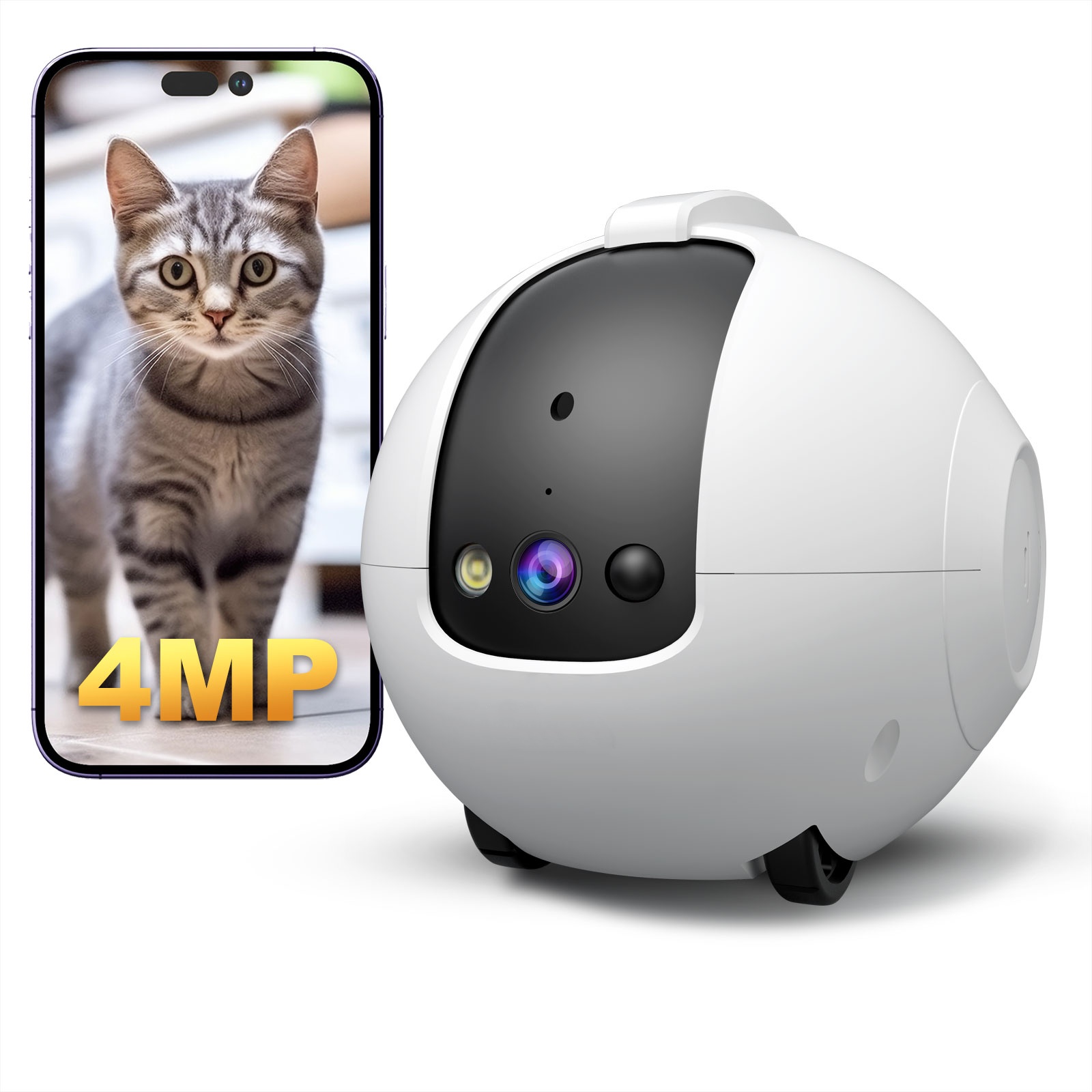 كاميرا روبوت للحيوانات الأليفة - مراجعة Cat Toys وسعره