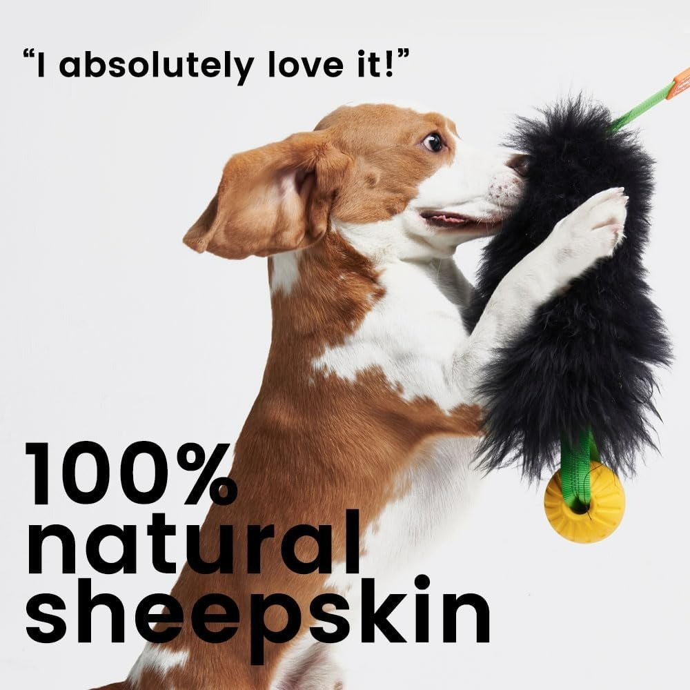 لعبة حبل الكلب لعبة المطارد بن - مراجعة Indestructible Dog Chew Toy وسعره